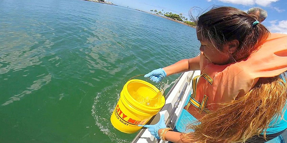 Alberto Azario - Ocean Sampling Day