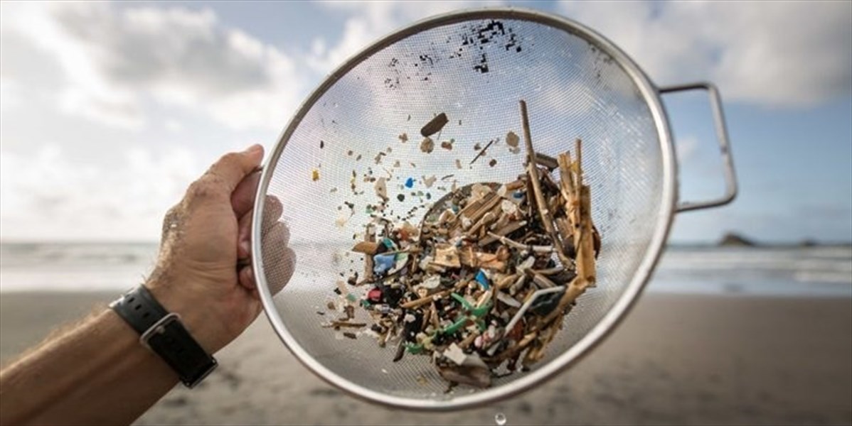 Alberto Azario - Microplastiche, un nemico invisibile della nostra salute entra a tavola con noi